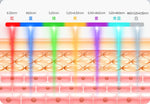 Máscara LED 7 colores con cuello – terapia de luz para cuidado facial