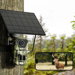 Cámara solar 4G infrarroja para exterior – visión nocturna y monitoreo de fauna
