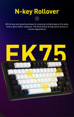 DAREU – Wired Gasket Mechanical Keyboard with RGB & Anti-Ghosting