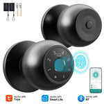 YFK 5 en 1 – pomo inteligente Tuya con huella, contraseña, tarjeta, llave y app